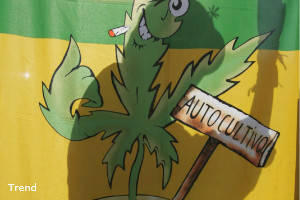 Запрет на марихуану в голландии заблокирован тор браузер hyrda