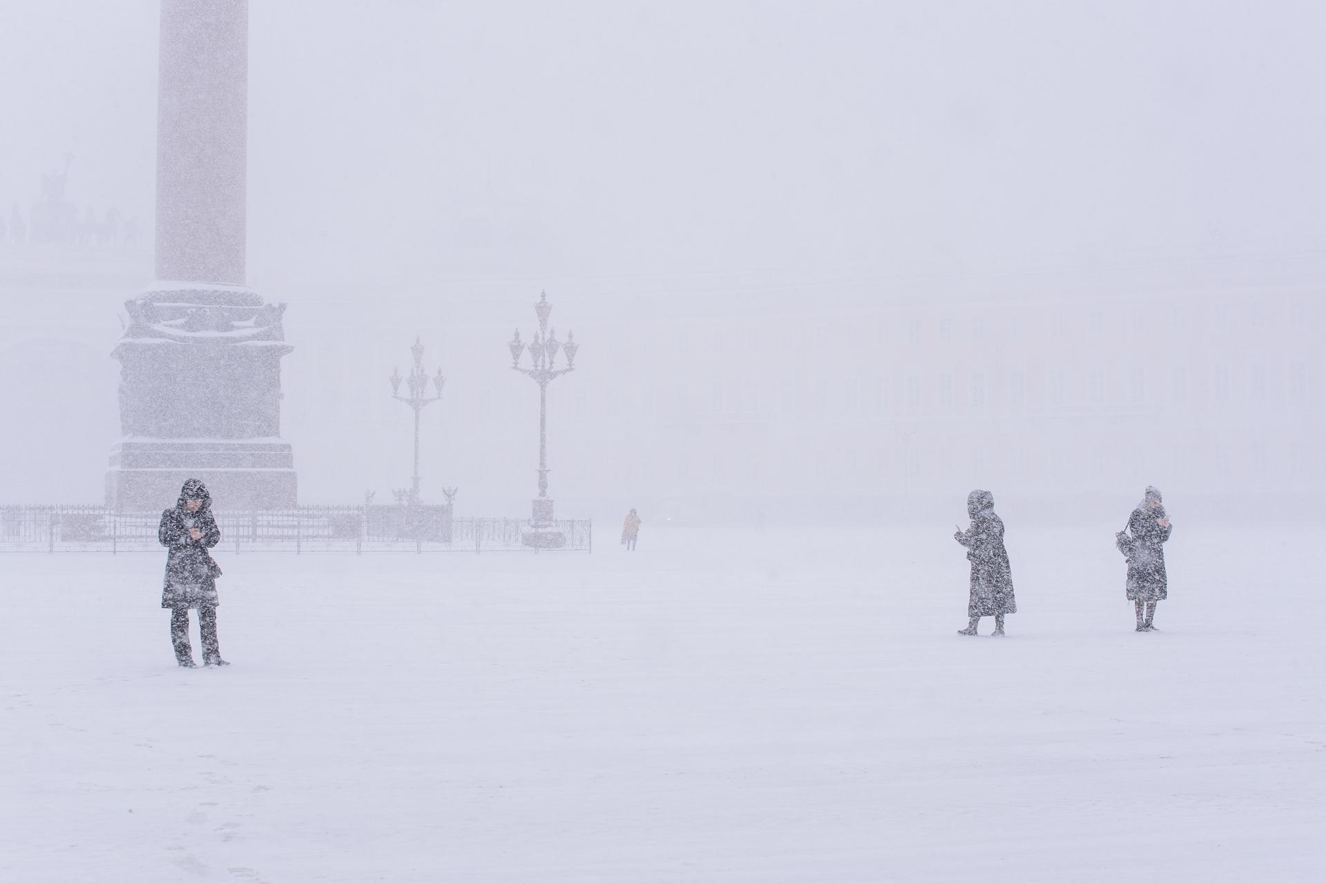 Метель в спб. Пурга Питер. Метель в Петербурге. Метель в Петербурге 2020. Метель в Петербурге январь 2022.