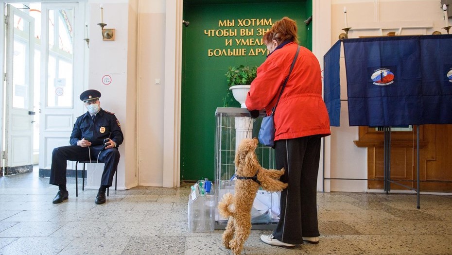 Очереди на голосовании в Питере. Родной район Санкт-Петербург голосование. Можно на избирательный участок с собакой