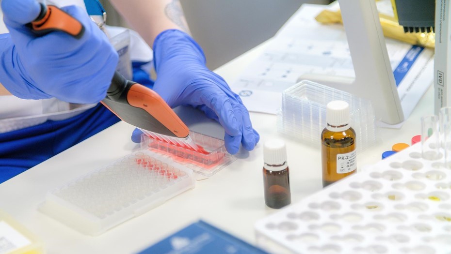 Pfizer испытает в Петербурге новый ковидный препарат от коронавируса