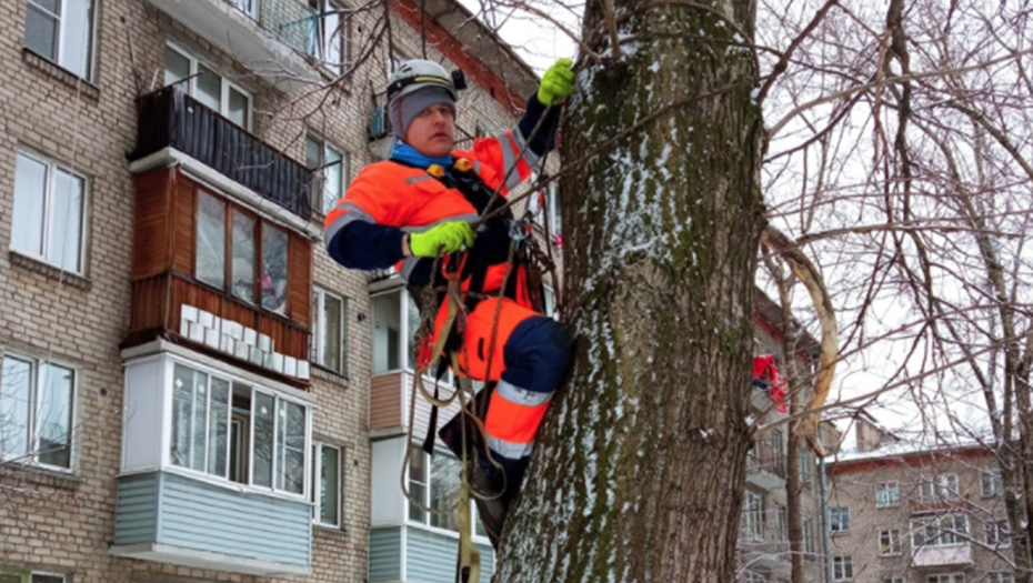 Открыл шкаф достал кота