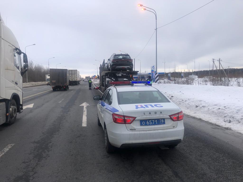 Полиция со стрельбой задержала пьяного водителя автовоза под Петербургом