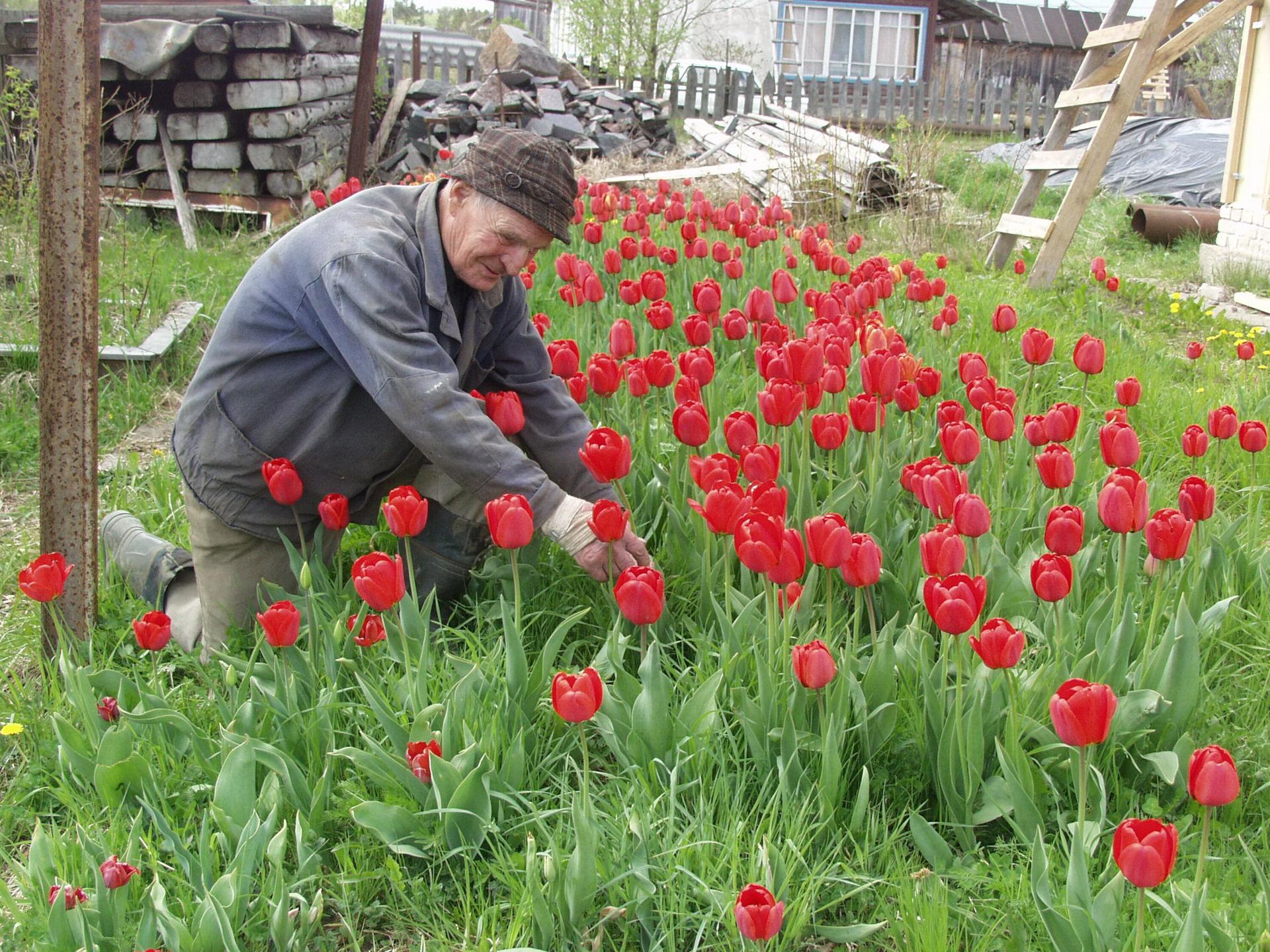 Мурад взлетел на диване