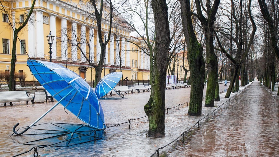 Дожди и мокрый снег при температуре +3 градуса ждут в Петербурге 18 января