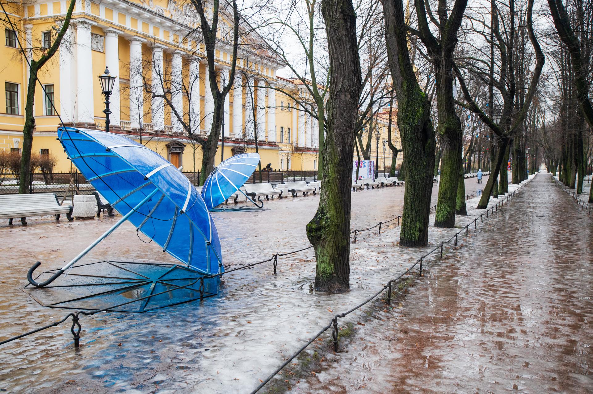 Питер сегодня погода видео. Сильный ветер в Петербурге. Дождь в Петербурге. Мокрый снег. Дождь в январе.