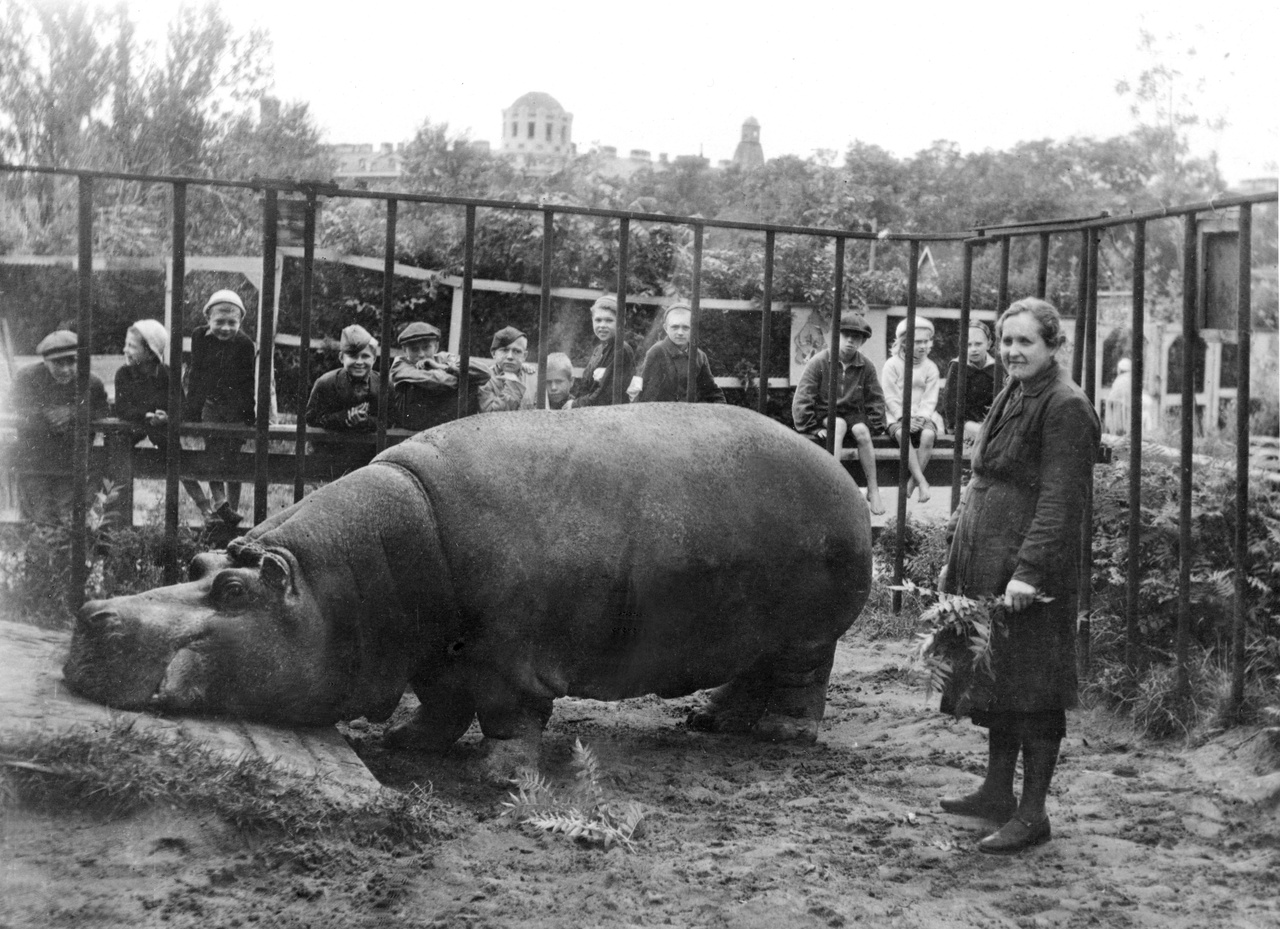 Ленинградский зоопарк в День Победы расскажет о жизни зверинца во время  блокады
