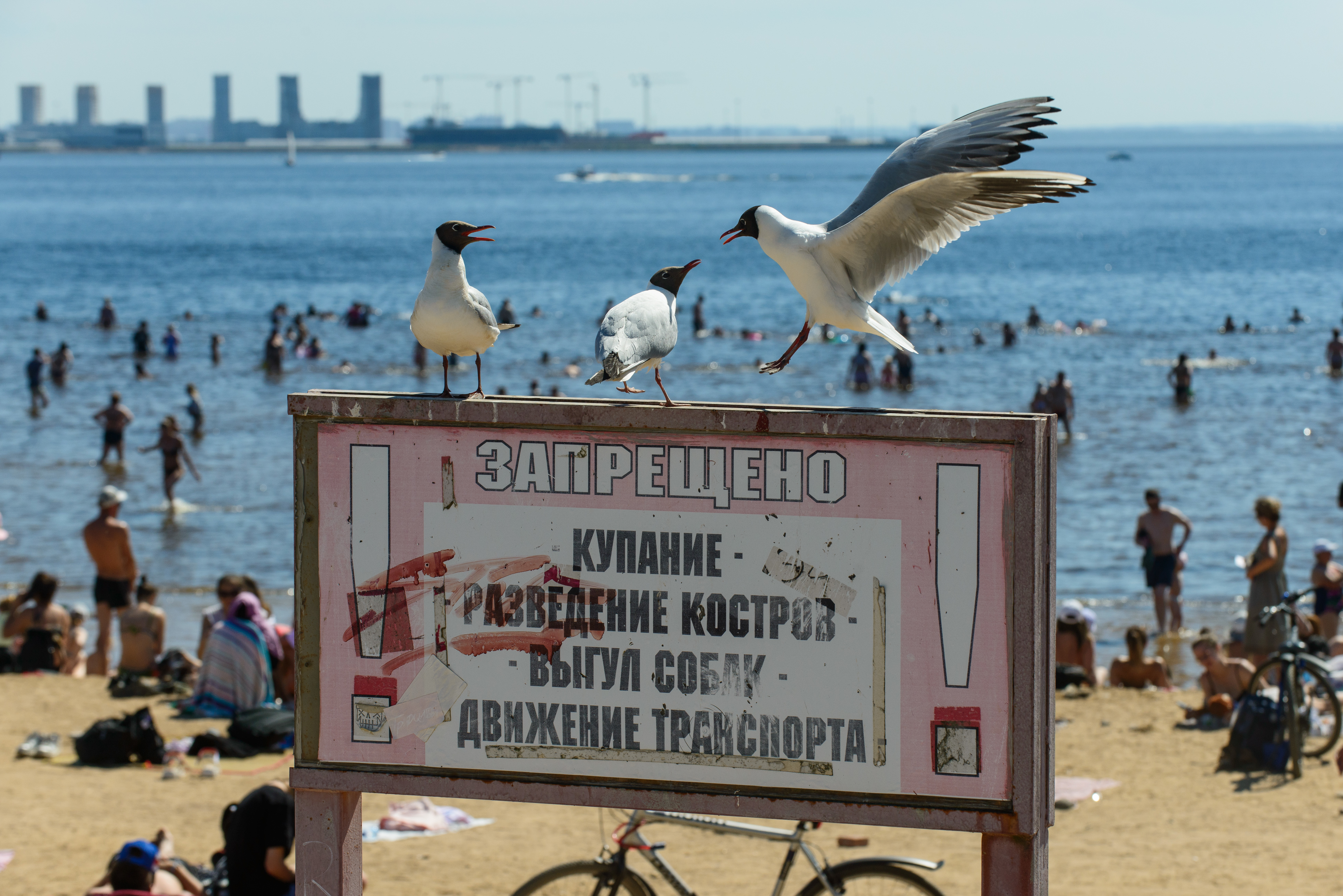 Не суйся в воду: чем опасно купание в грязных реках и озёрах