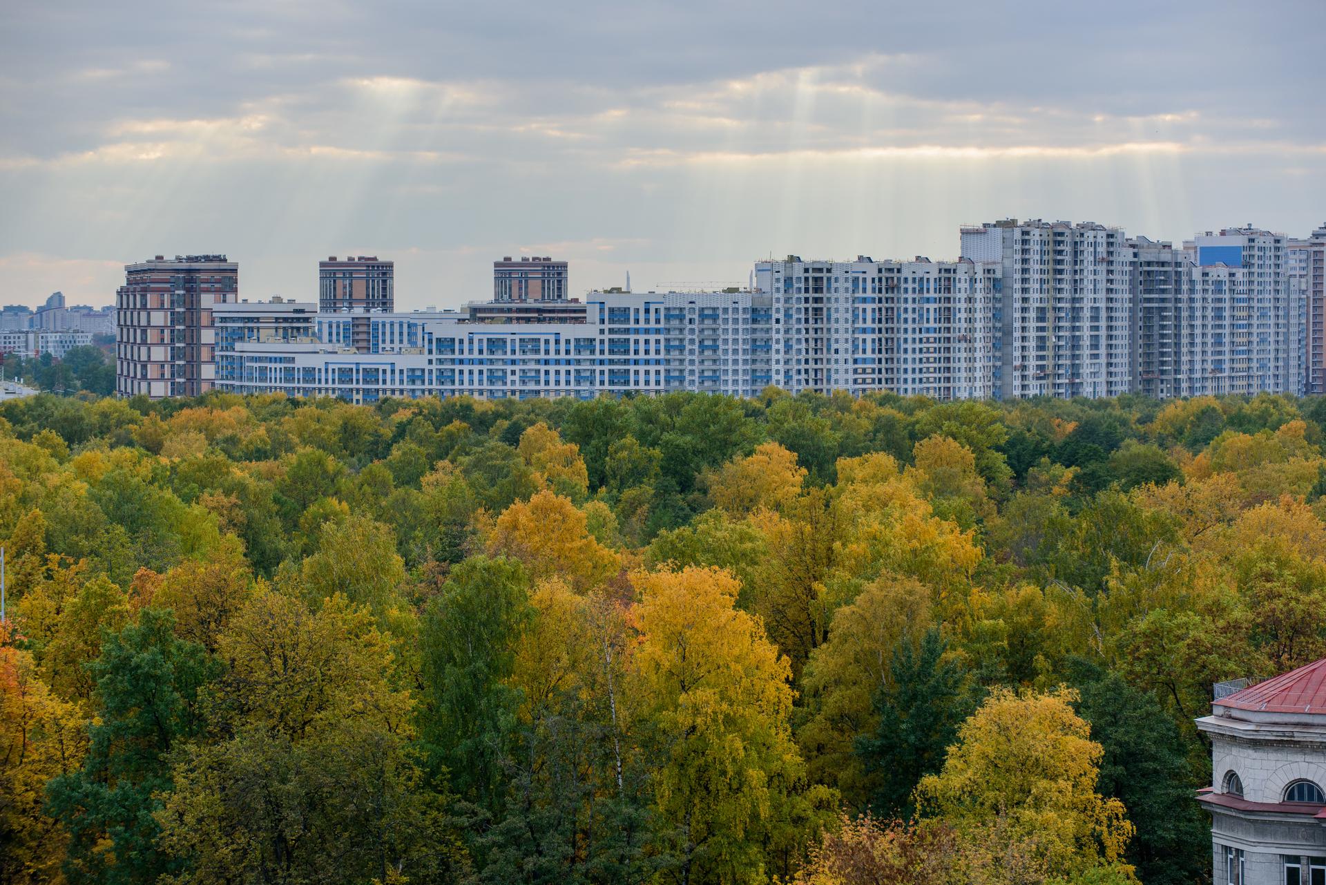 Работы по благоустройству Удельного парка в Петербурге начнутся в 2024 году