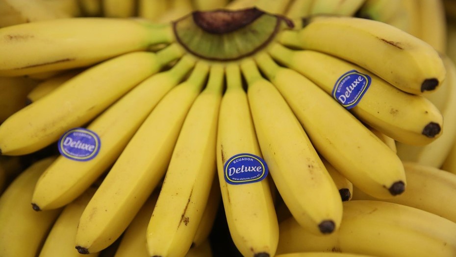 Россиян предупредили о подорожании бананов на 20%