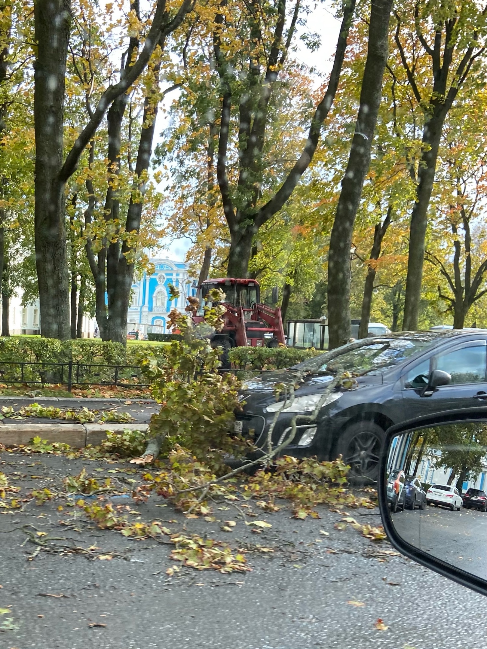 Перелом руки и помятые авто. В Петербурге за день из-за ветра рухнуло 60  деревьев