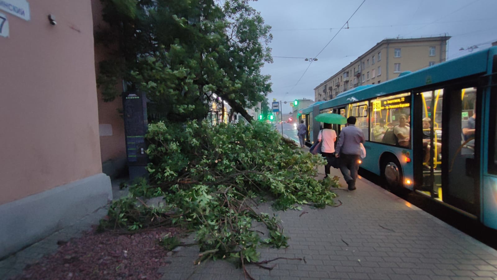 Последствия шторма в Петербурге: сломанные деревья, пострадавшие люди