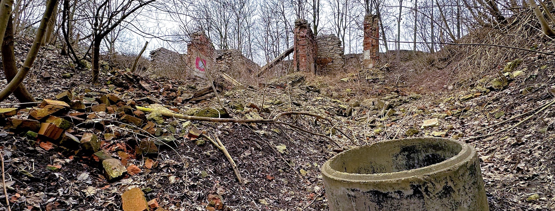 "Поощрение порочной практики": как древний Псков медленно превращается в руины