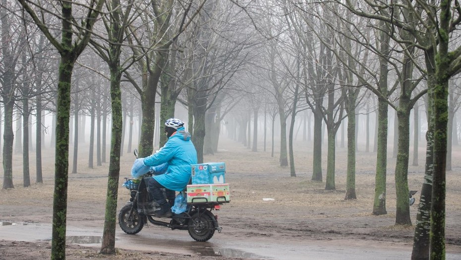 Курьерская доставка в Петербурге.