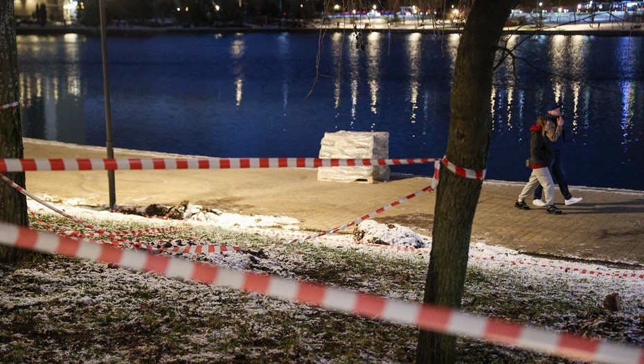 В Гольяновском пруду в Москве нашли голову ребенка В Гольяновском пруду в Москве нашли голову ребенка