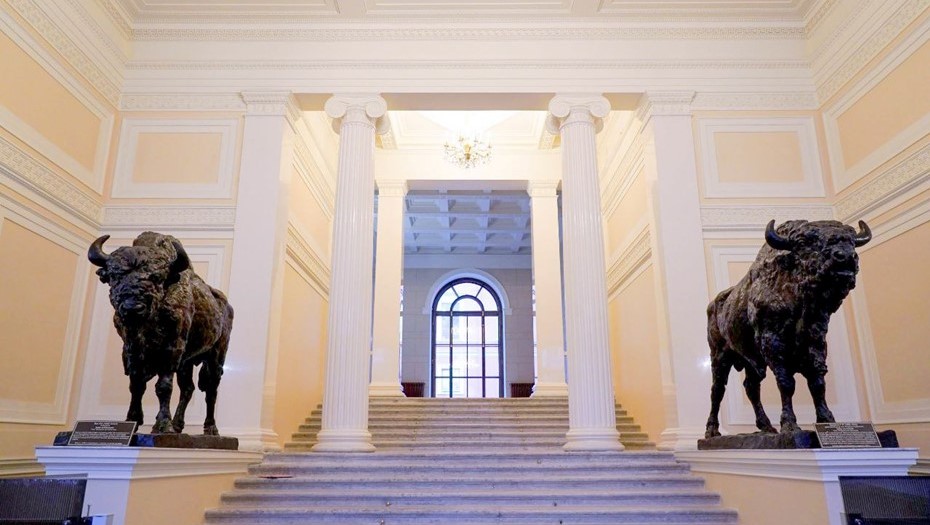 В доме Пашкова в Петербурге отреставрировали скульптуры зубров В доме Пашкова в Петербурге отреставрировали скульптуры зубров