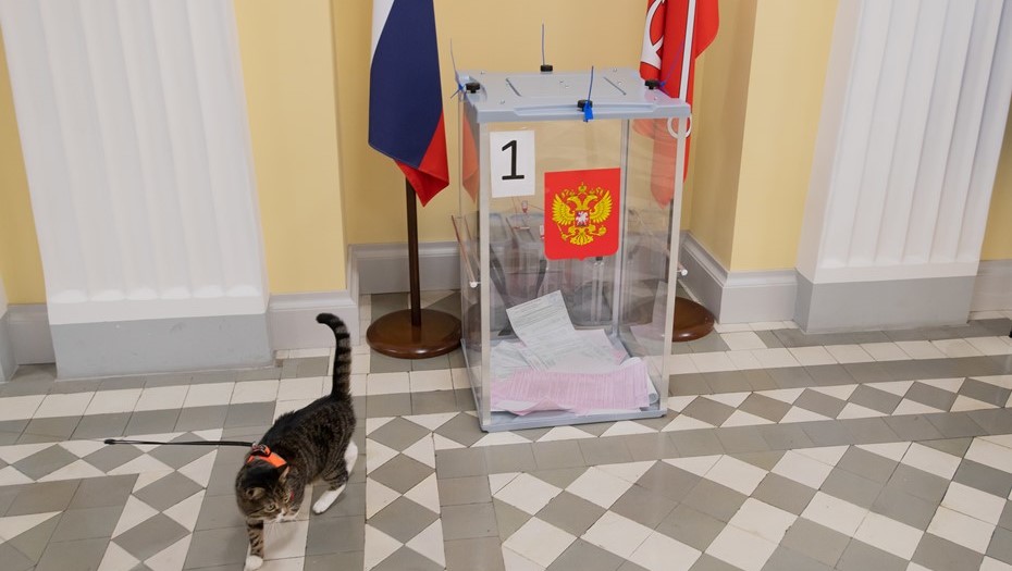 Избирательный участок, урна для бюллетеней. Избирательный участок, урна для бюллетеней.