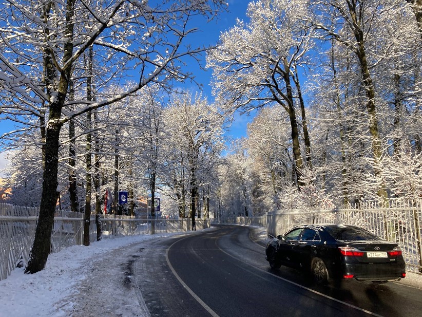 Парковая улица в Пушкине
