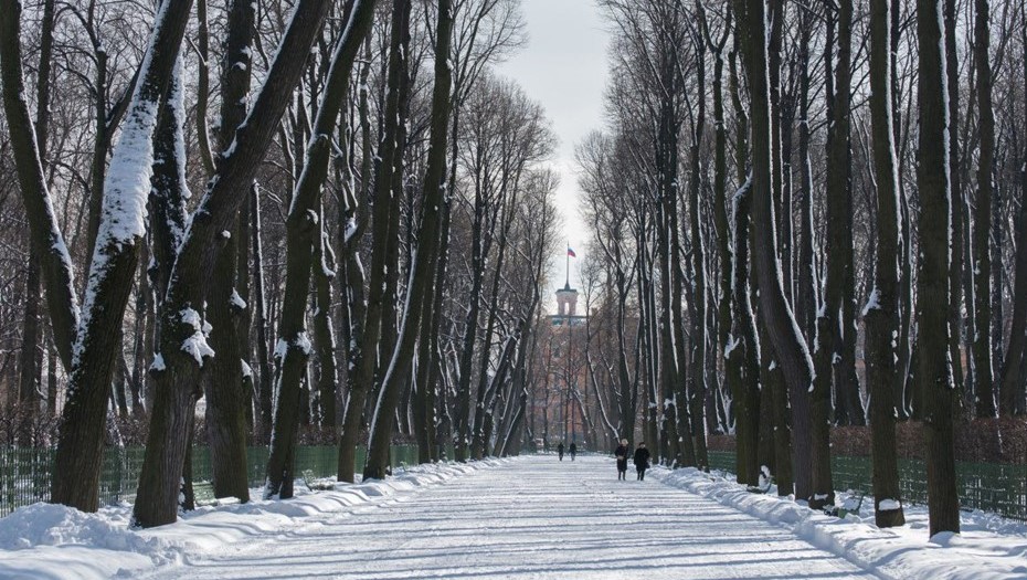 Летний сад Русского музея зимой