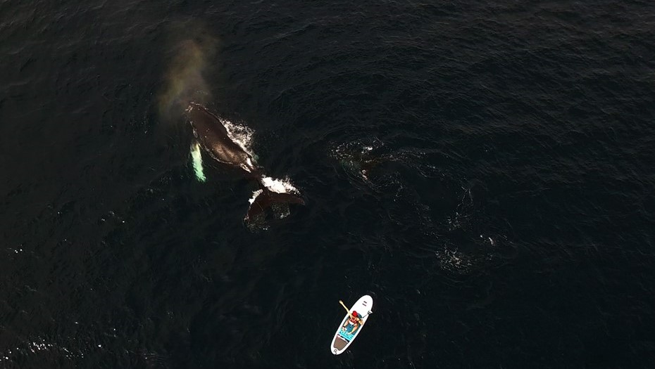 Петербуржцы стали чаще летать в Арктику Петербуржцы стали чаще летать в Арктику