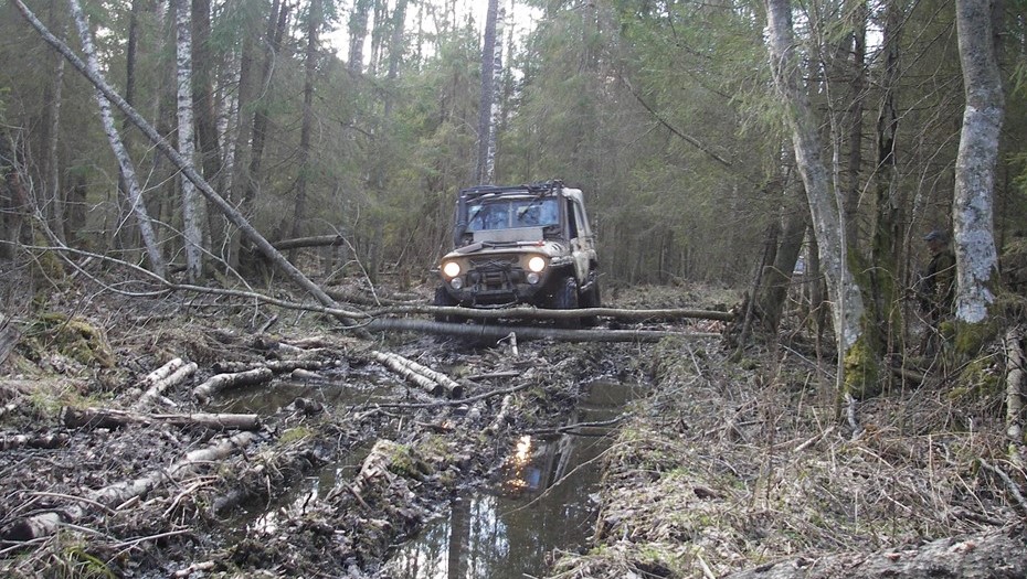 Болотистая местность. Болотистая местность.