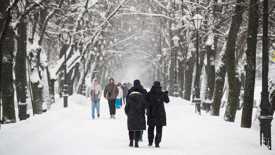 Дожди сменятся снегопадом в выходные 22 и 23 ноября