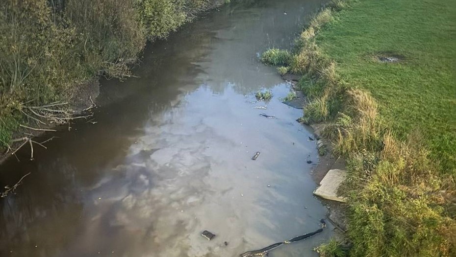 Росприроднадзора отмечает улучшение состояния воды в реке Охта