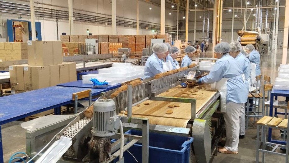 На производстве печенья в Ленобласти внедрили ИИ На производстве печенья в Ленобласти внедрили ИИ