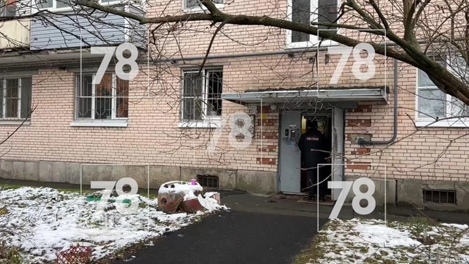 Глава СК РФ потребовал доклад о расследовании уголовного дела убийства матери дочерью в Петербурге