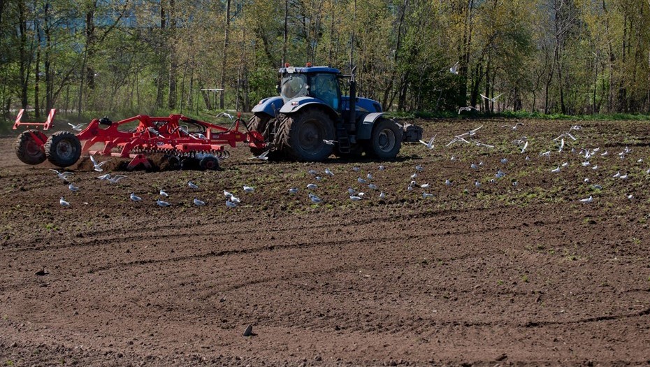 Ленобласть нарастит объем валовой продукции АПК