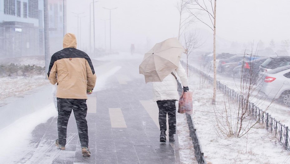 Петербургу 28 ноября спрогнозировали усиление ветра