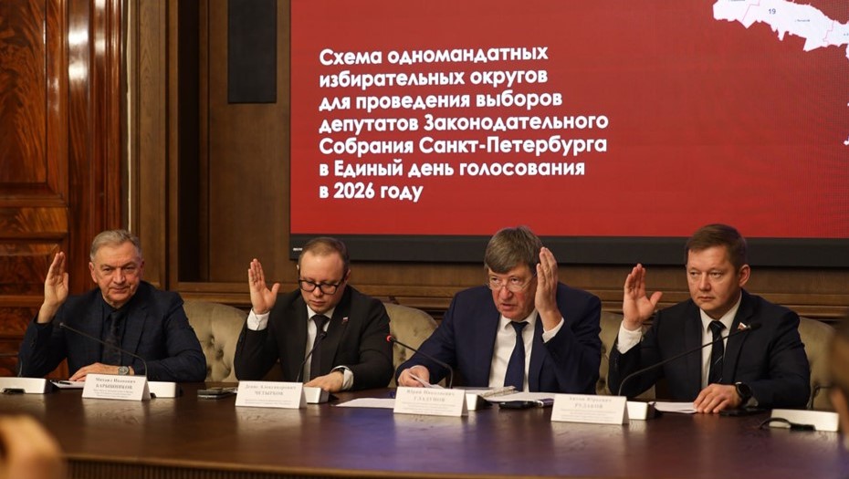 Заседание постоянной комиссии по организации публичной власти и административно-территориальному устройству ЗакСа Петербурга. 