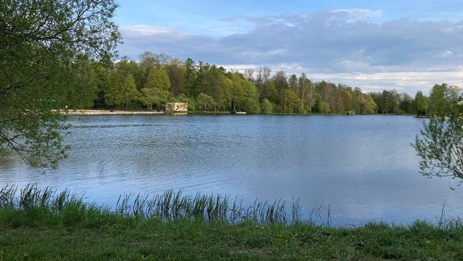 Колонистский пруд, Пушкин