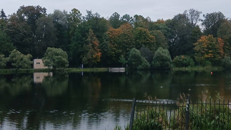 Колонистский пруд, Пушкин