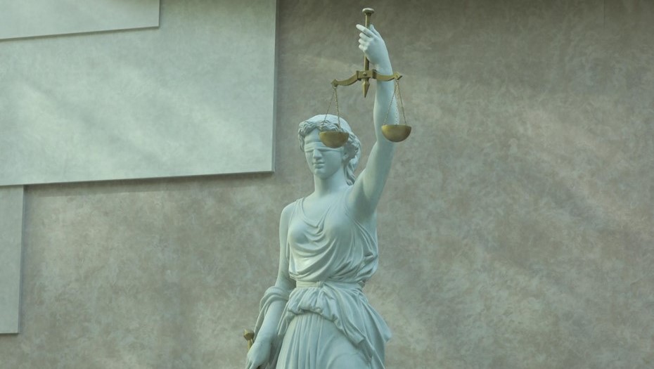 Верховный суд просят пересмотреть решение по делу Долиной