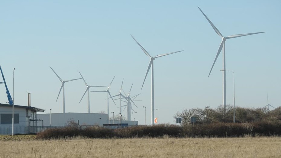 Ветропарк. Иллюстрация. Ветропарк. Иллюстрация.