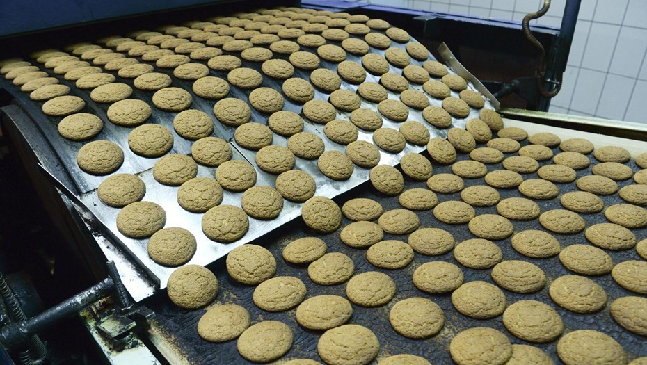 Производство АО "Любимый край" в Ленинградской области