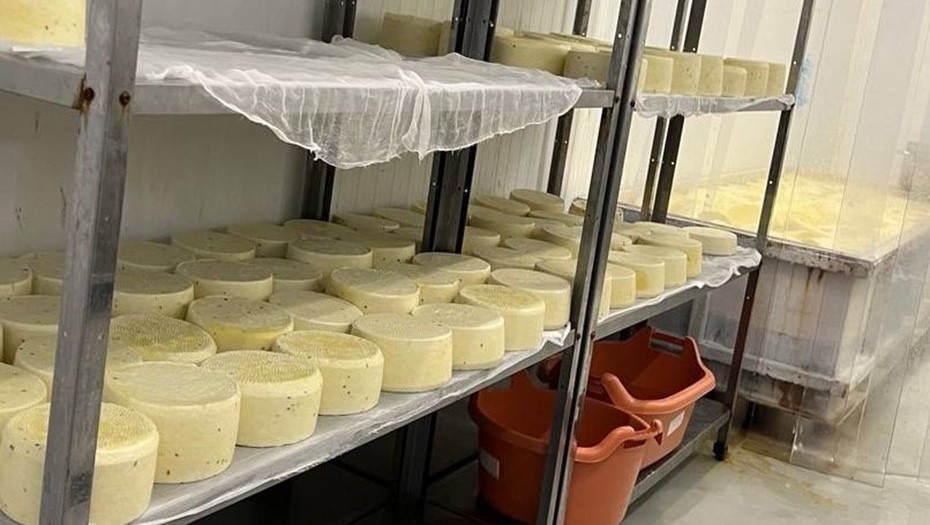 Компания в Петербурге лишилась немаркированного сыра
