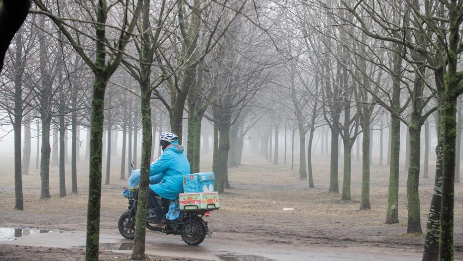 Беглов заявил о сокращении мигрантов в Петербурге Беглов заявил о сокращении мигрантов в Петербурге
