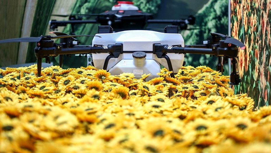 К специалистам Петербурга нарастили требования знания ИИ К специалистам Петербурга нарастили требования знания ИИ