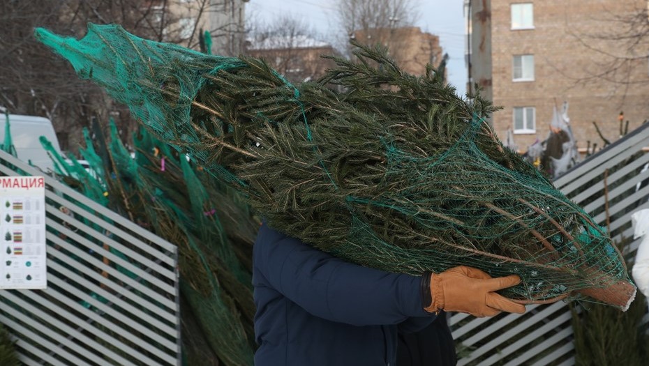 Многим ранняя установка ёлки помогает
создать новогоднее настроение в аномально
тёплом декабре Многим ранняя установка ёлки помогает
создать новогоднее настроение в аномально
тёплом декабре