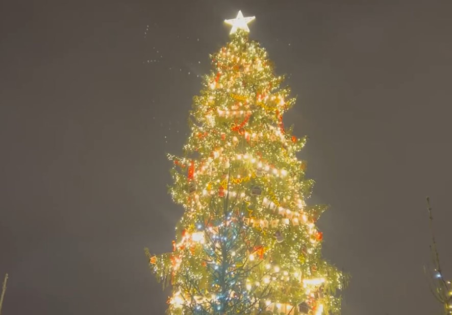 20 декабря зажгли огни на главной елке Петербурга.