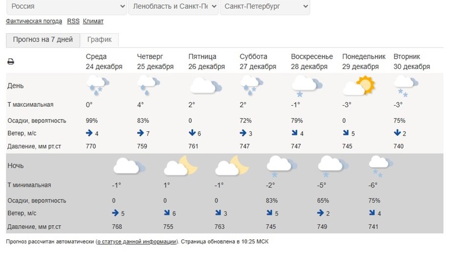 Погода в Петербурге до Нового года