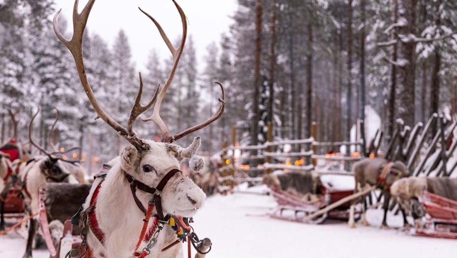 Лапландия, Финляндия.