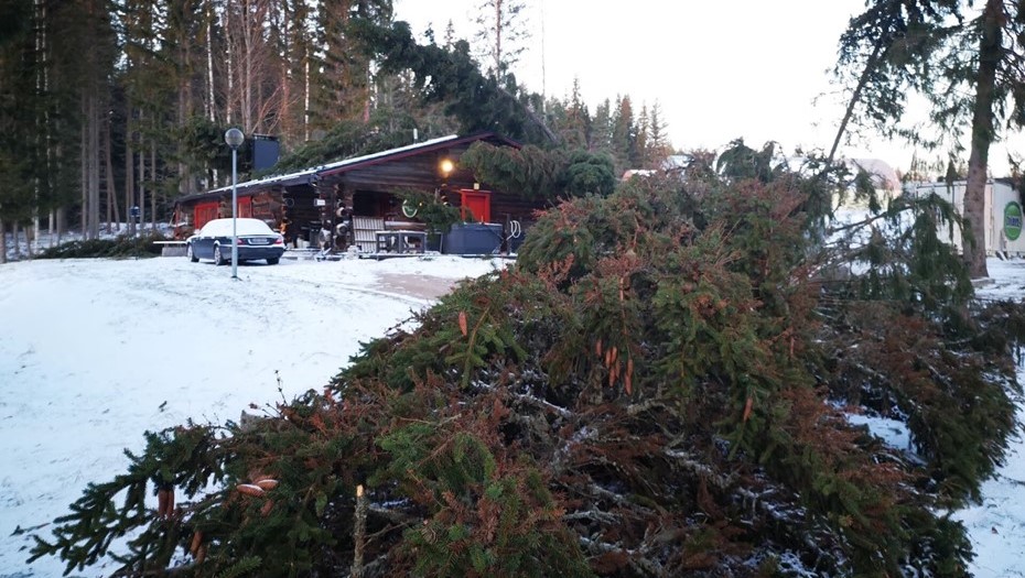 Мощный шторм "Ханнес" обрушился на Финляндию 27 декабря 2025 года.