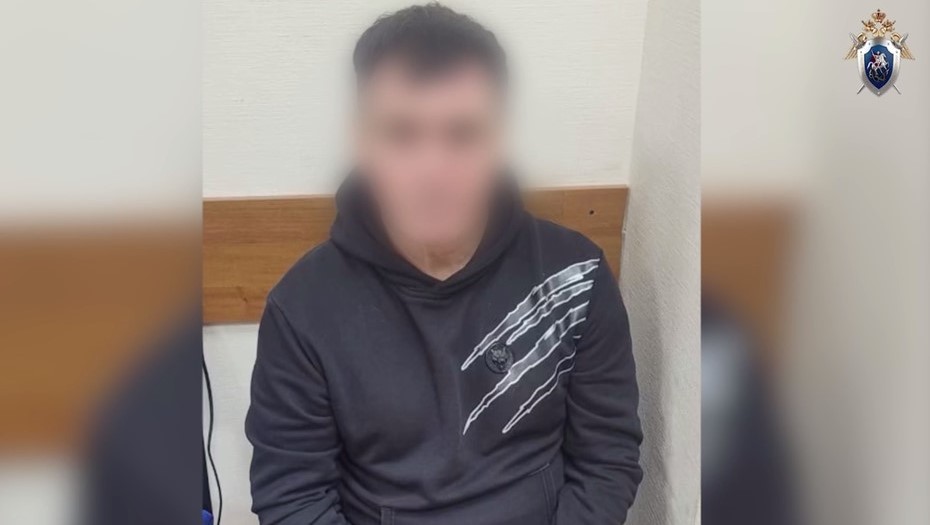 В Петербурге отправили под арест главу МО Дачное