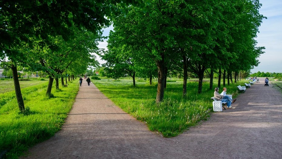 Буферный парк в Пушкине.