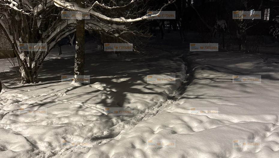 Залежи снега в Павловске 5 января