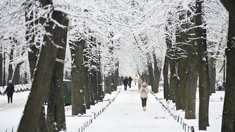 В Петербурге в Рождество обновлён снежный максимум В Петербурге в Рождество обновлён снежный максимум