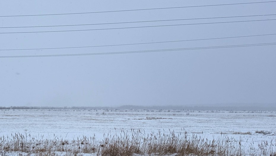 Место строительства электродепо "Коломяжская"