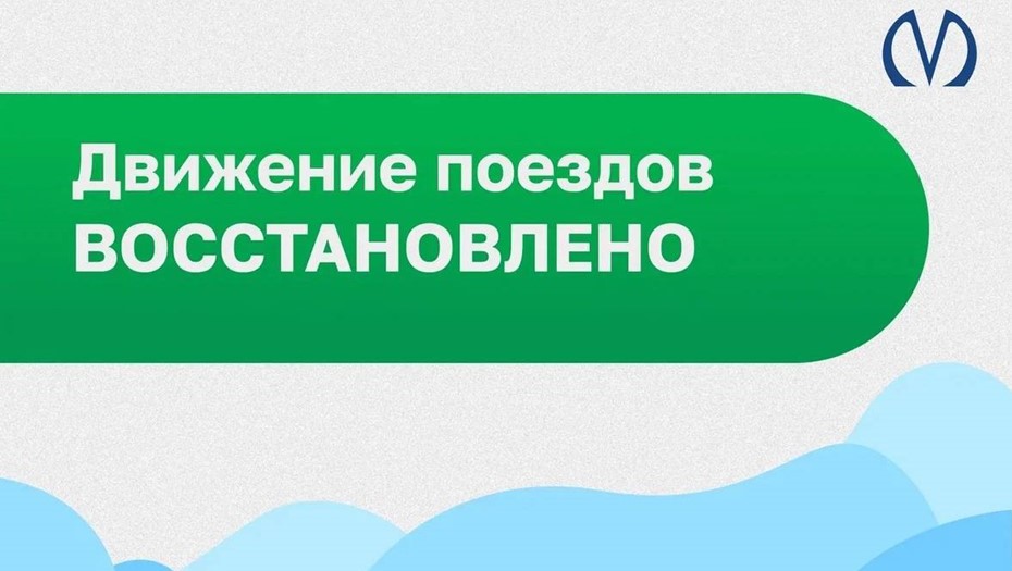 Поезда на "фиолетовой" линии метро Петербурга идут в обычном режиме после внеплановой остановки 